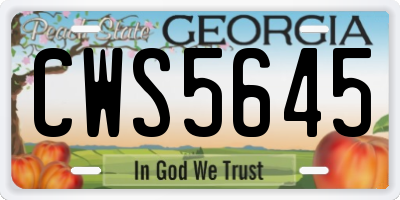 GA license plate CWS5645