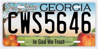 GA license plate CWS5646