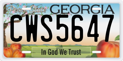 GA license plate CWS5647
