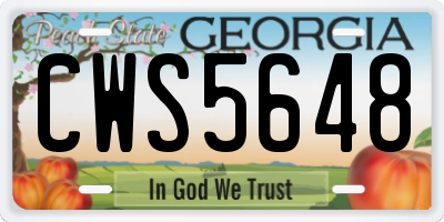 GA license plate CWS5648