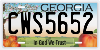 GA license plate CWS5652