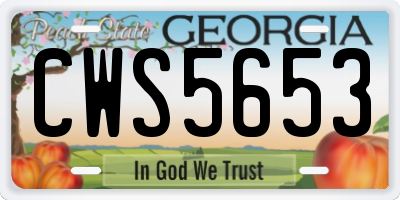 GA license plate CWS5653