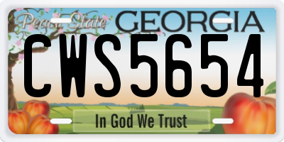 GA license plate CWS5654