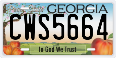 GA license plate CWS5664