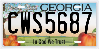 GA license plate CWS5687