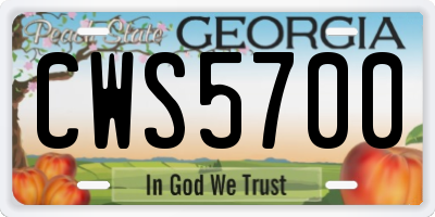 GA license plate CWS5700