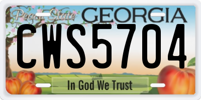 GA license plate CWS5704