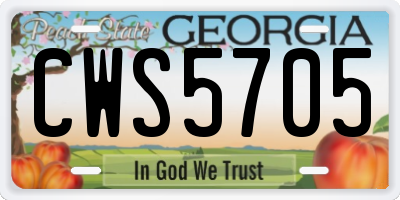 GA license plate CWS5705