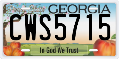 GA license plate CWS5715