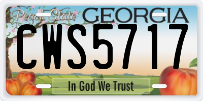 GA license plate CWS5717