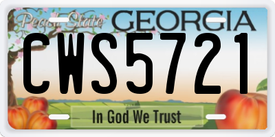 GA license plate CWS5721