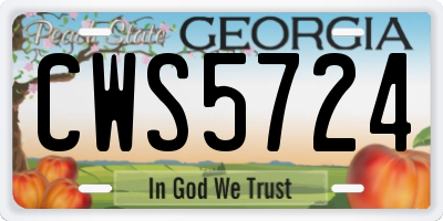 GA license plate CWS5724