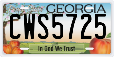 GA license plate CWS5725
