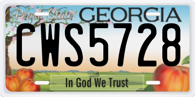 GA license plate CWS5728