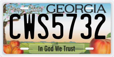 GA license plate CWS5732
