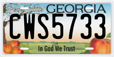 GA license plate CWS5733