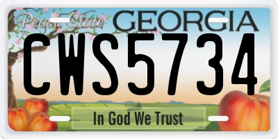GA license plate CWS5734