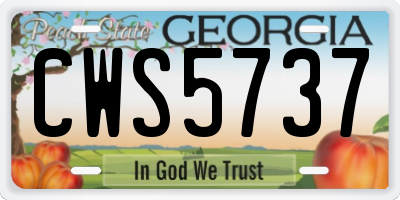 GA license plate CWS5737