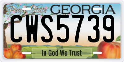 GA license plate CWS5739