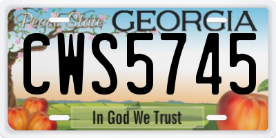 GA license plate CWS5745