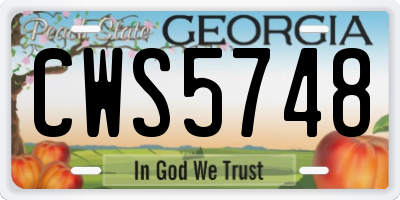 GA license plate CWS5748