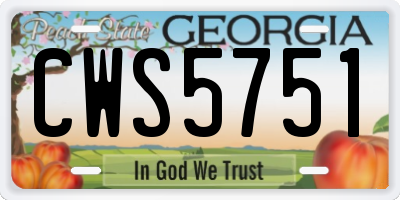 GA license plate CWS5751