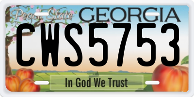 GA license plate CWS5753