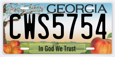 GA license plate CWS5754