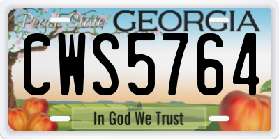 GA license plate CWS5764