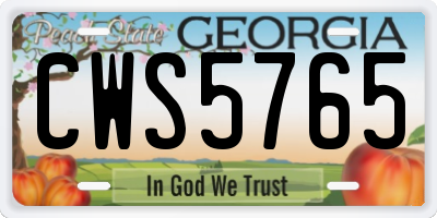 GA license plate CWS5765