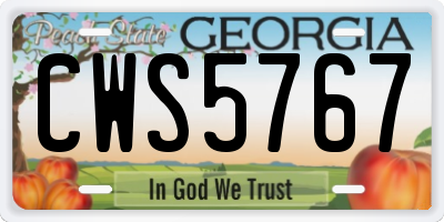 GA license plate CWS5767