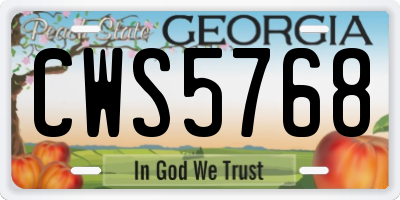 GA license plate CWS5768