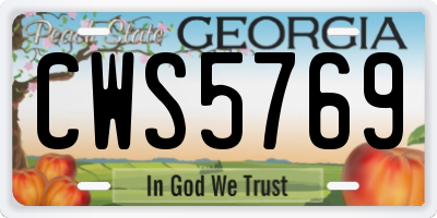 GA license plate CWS5769