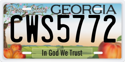 GA license plate CWS5772