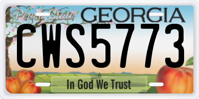 GA license plate CWS5773