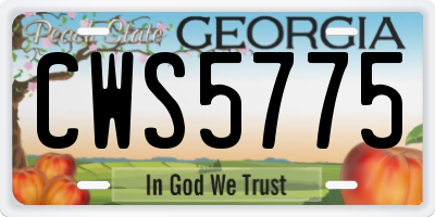 GA license plate CWS5775