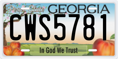GA license plate CWS5781