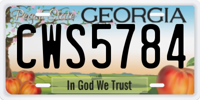 GA license plate CWS5784