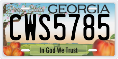 GA license plate CWS5785
