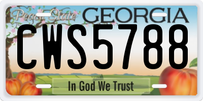 GA license plate CWS5788