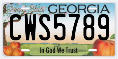 GA license plate CWS5789