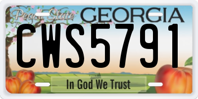 GA license plate CWS5791