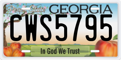 GA license plate CWS5795