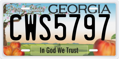 GA license plate CWS5797