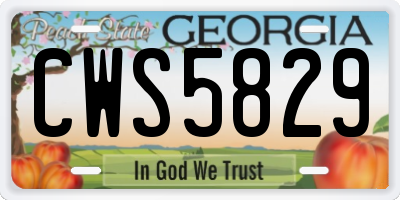 GA license plate CWS5829