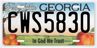 GA license plate CWS5830