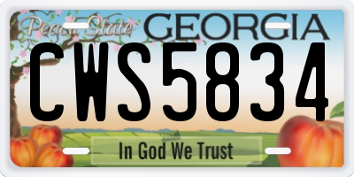 GA license plate CWS5834