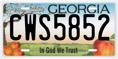 GA license plate CWS5852