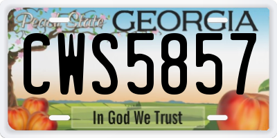 GA license plate CWS5857
