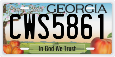 GA license plate CWS5861